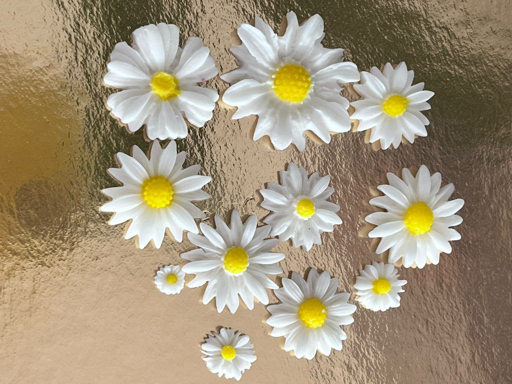 Edible Sugar Daisy Cake Decoration / Set of 24 Fondant Daisies