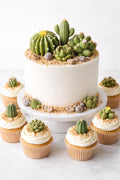 Handmade edible sugar paste cactus cake topper set, image 1.