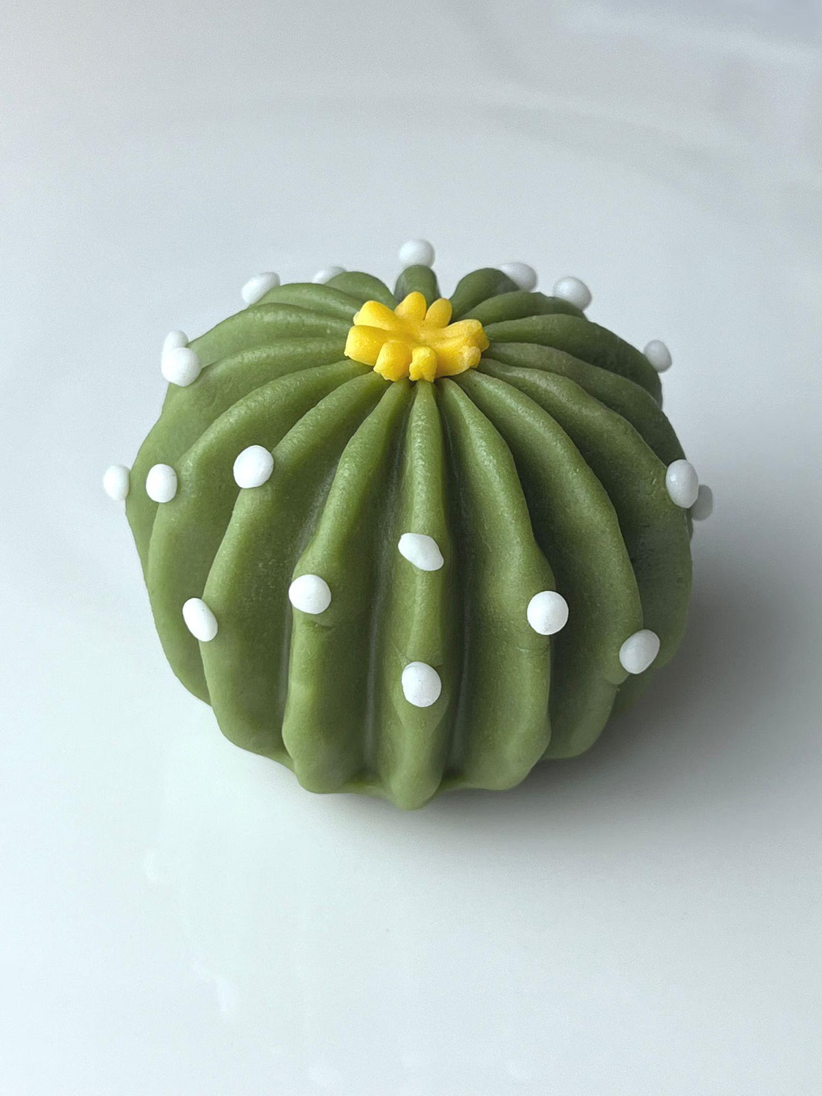 Handmade edible sugar paste cactus cake topper set, image 2.