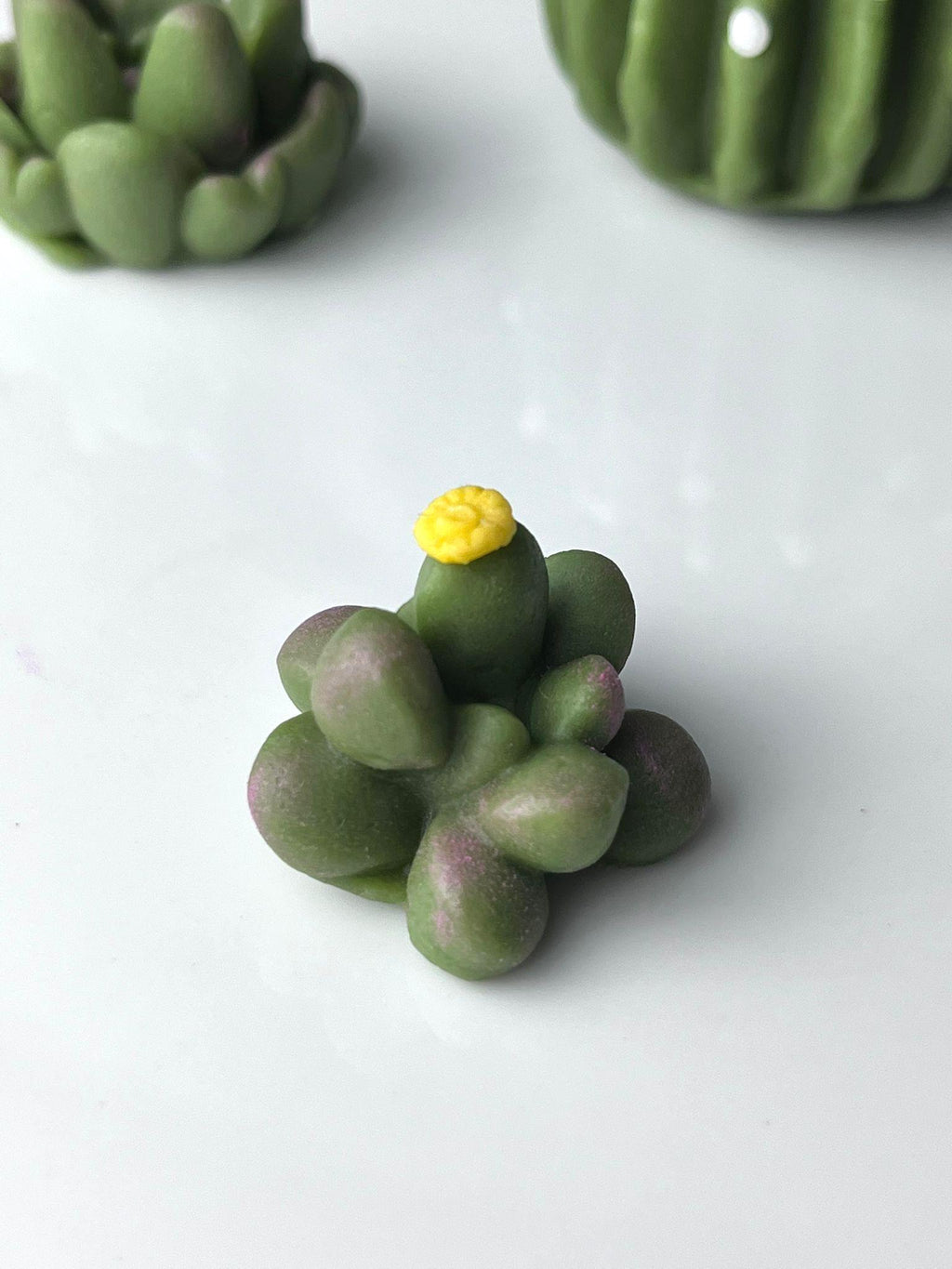 Handmade edible sugar paste cactus cake topper set, image 5.