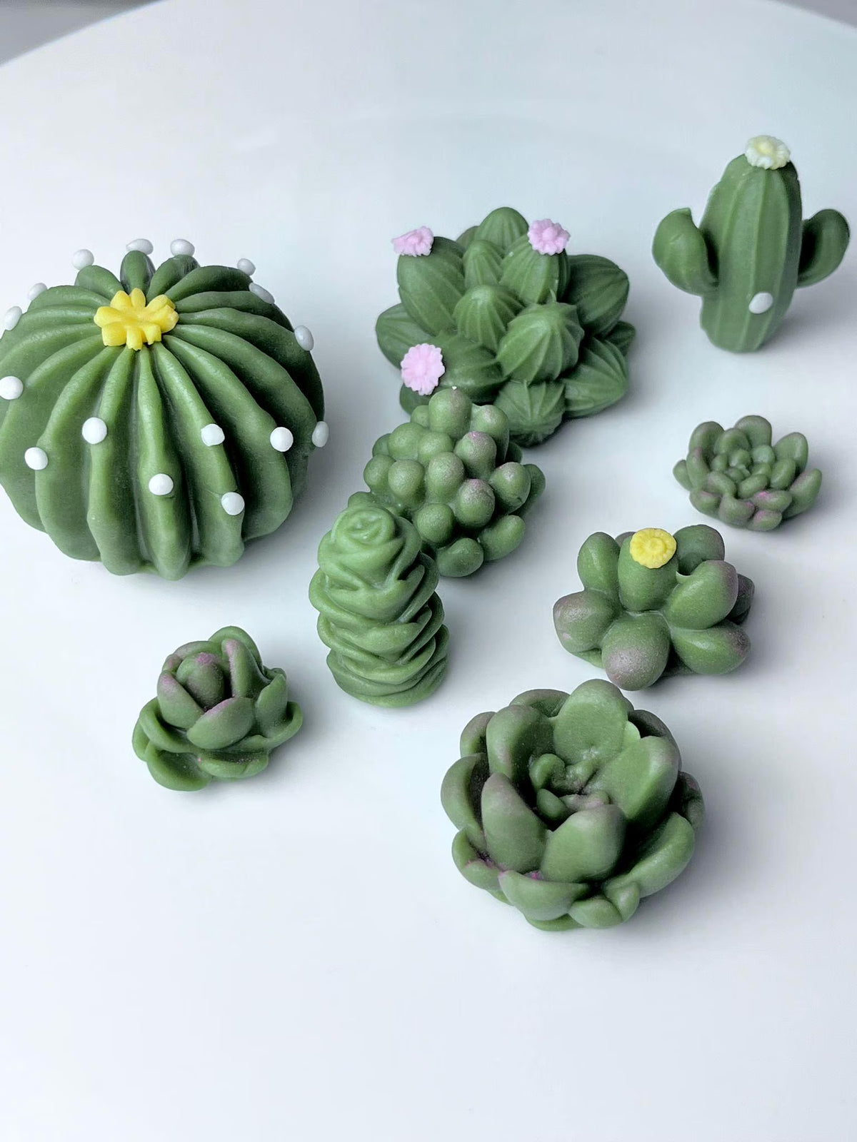 Handmade edible sugar paste cactus cake topper set, image 11.