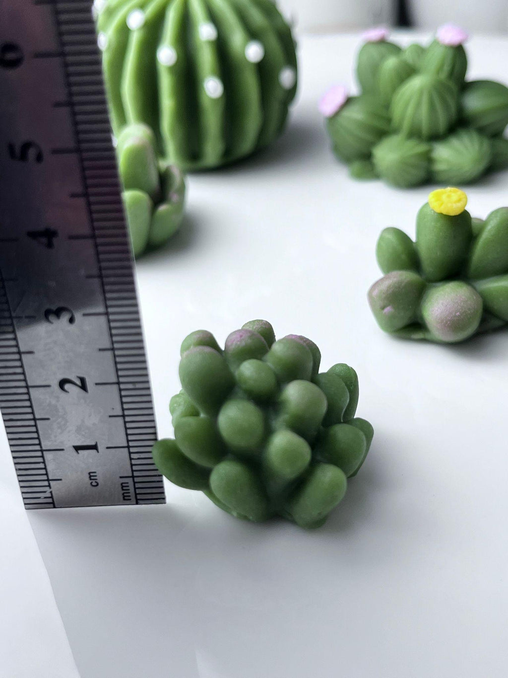 Handmade edible sugar paste cactus cake topper set, image 17.