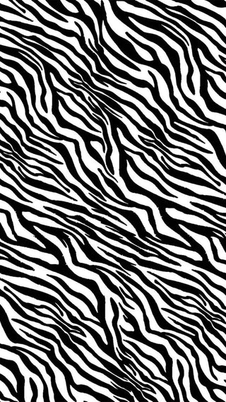 Design 5