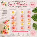 Handmade edible plumeria sugar flowers for tropical cake decoration, image 1.