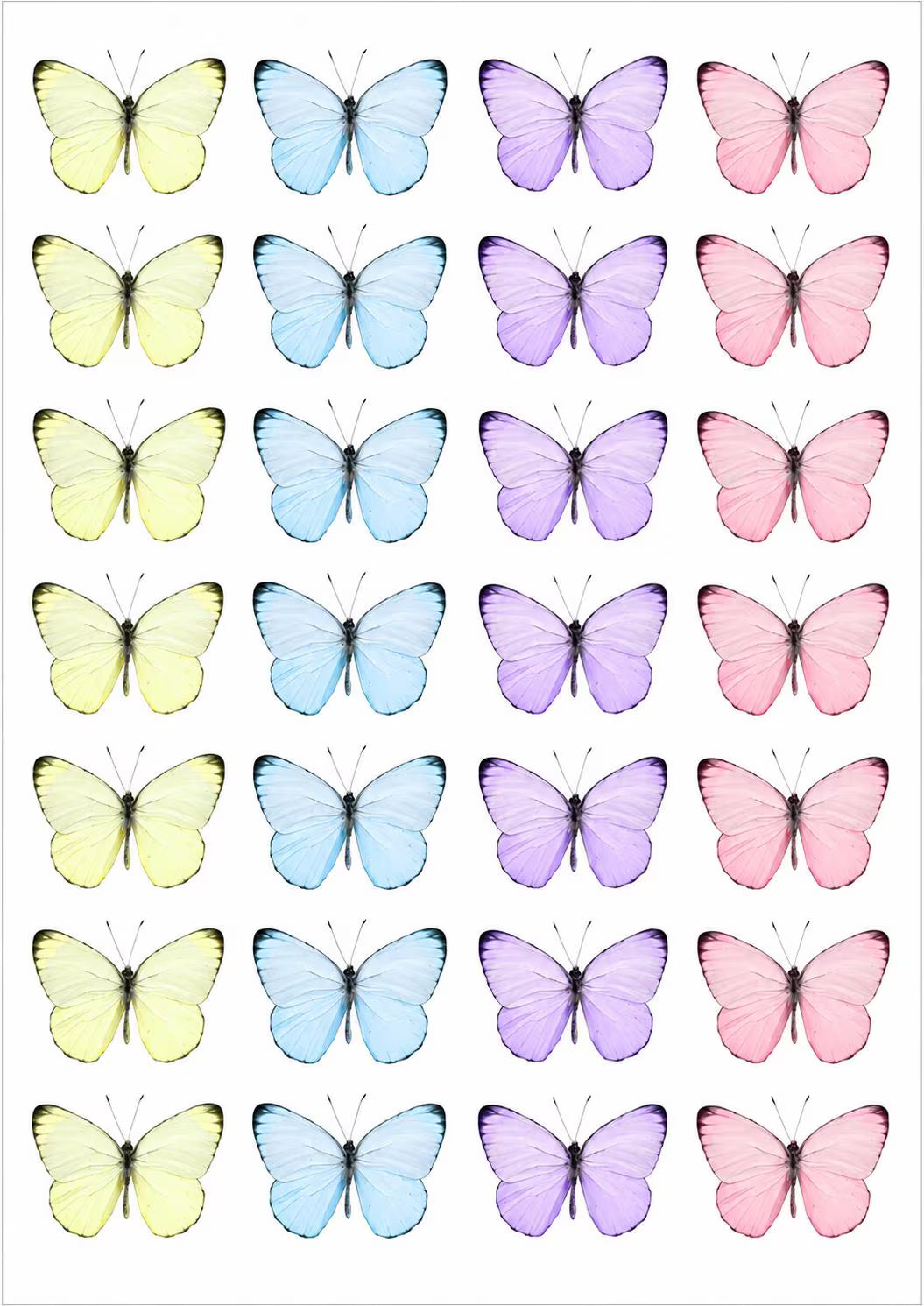 Wafer paper butterfly toppers for handmade cake designs.