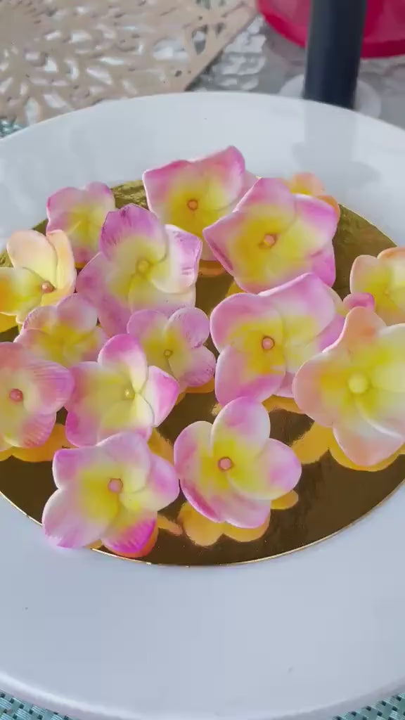 Edible Plumeria Sugar Flowers Set of 15 - Fondant Cake Decoration